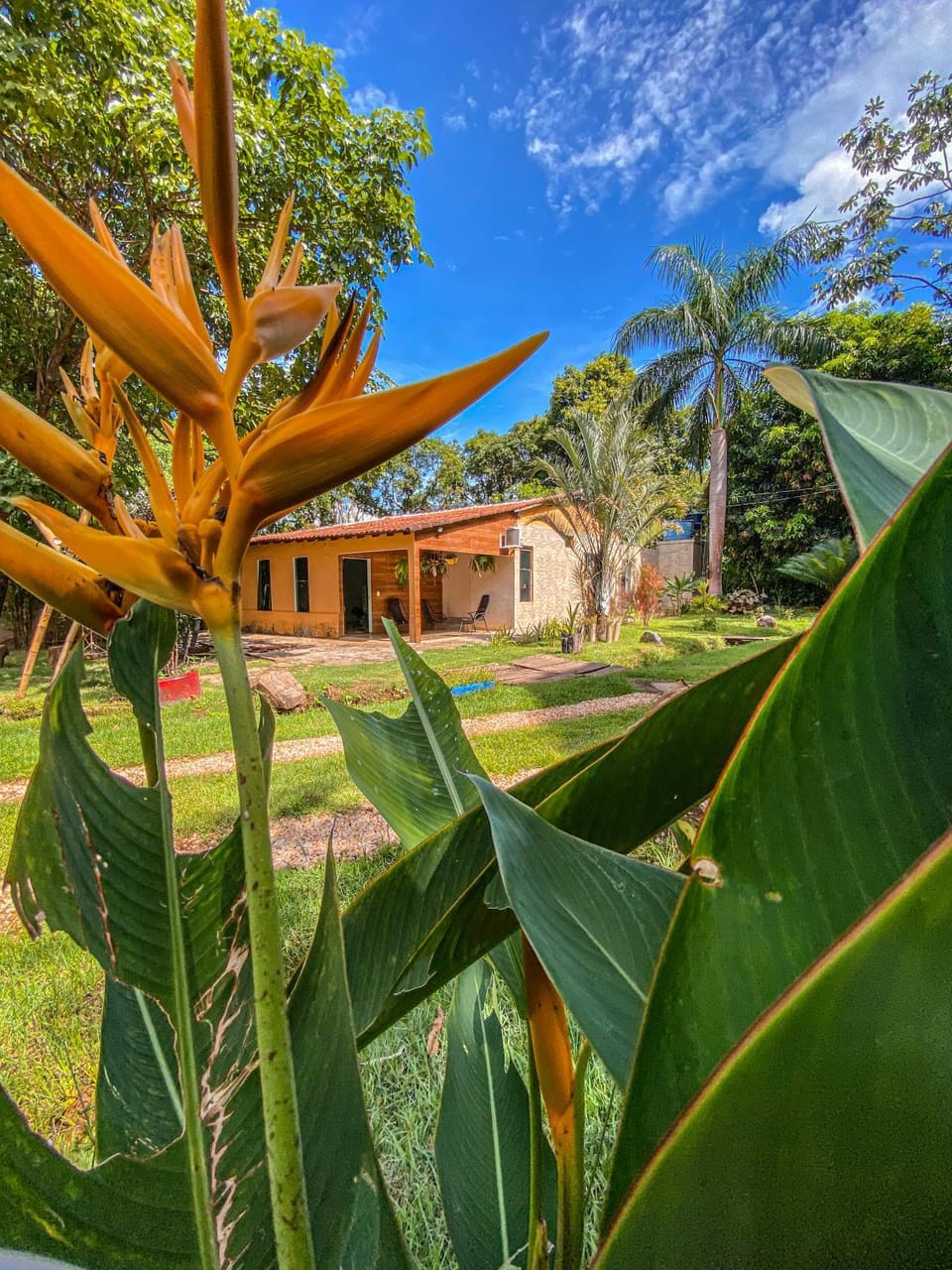 Day, Natural landscape, Garden, Garden view