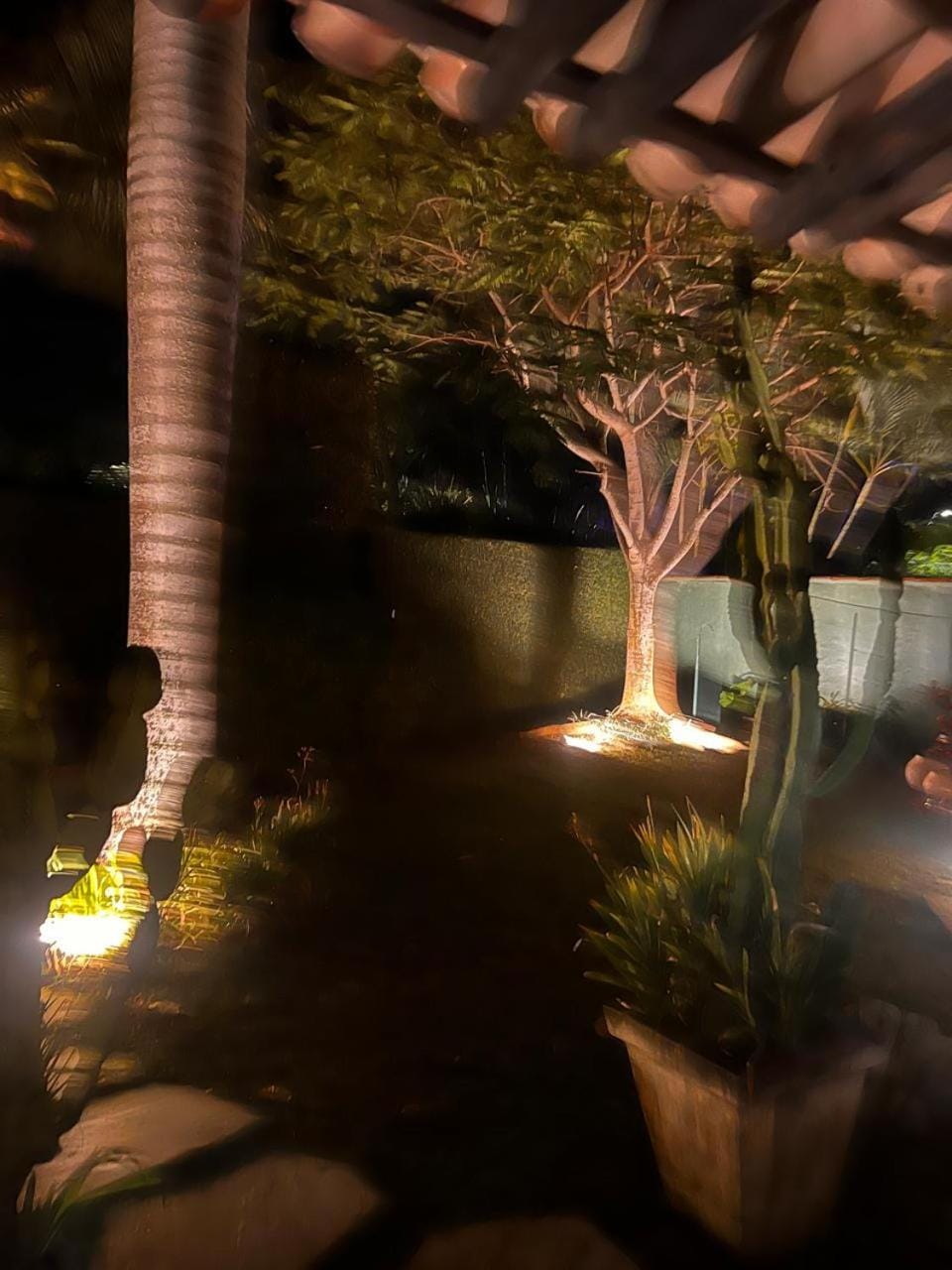 Night, Garden, Garden view