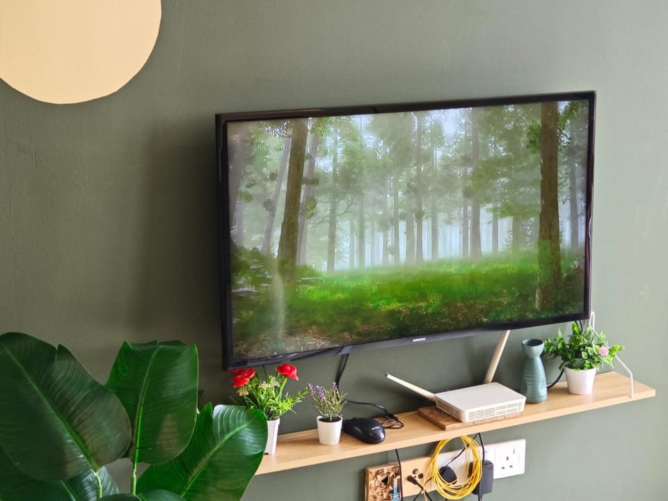 TV and multimedia