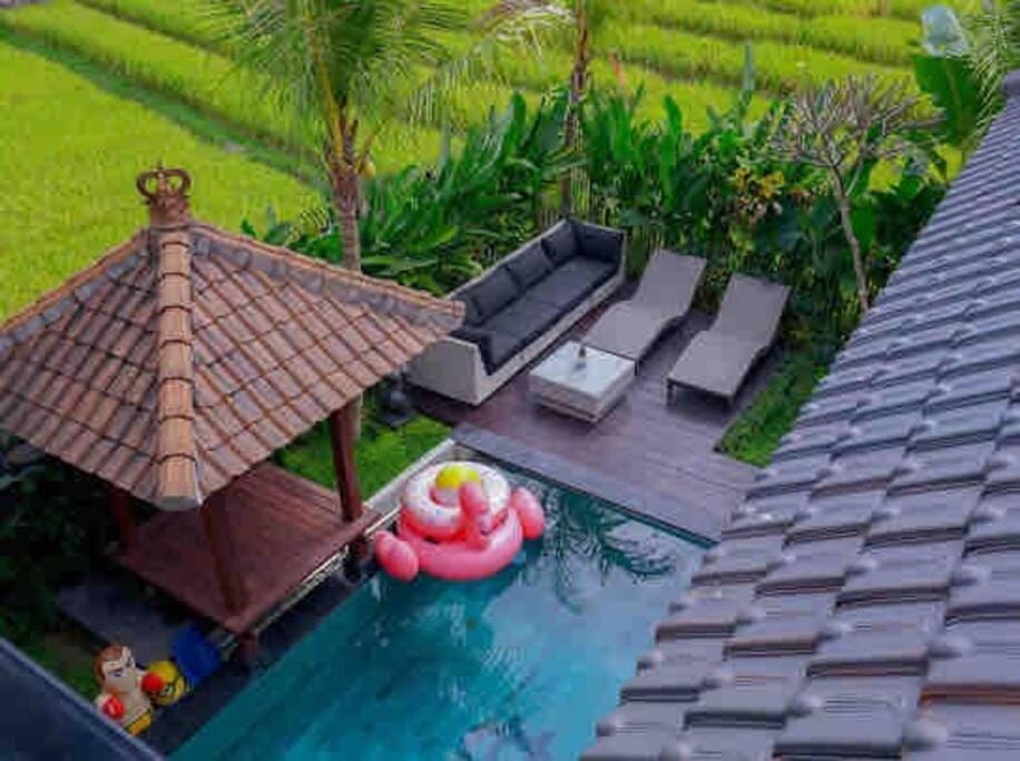 Garden view, Pool view, Swimming pool, sunbed