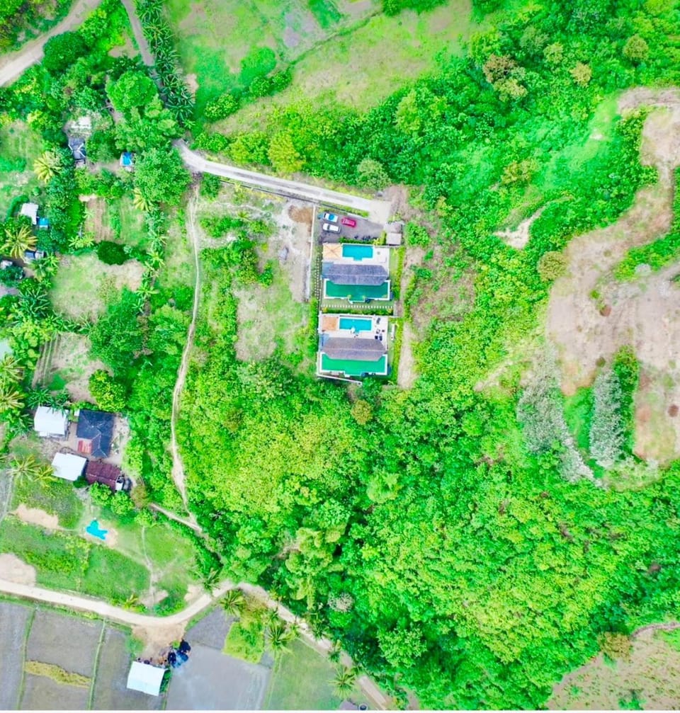 Natural landscape, Street view