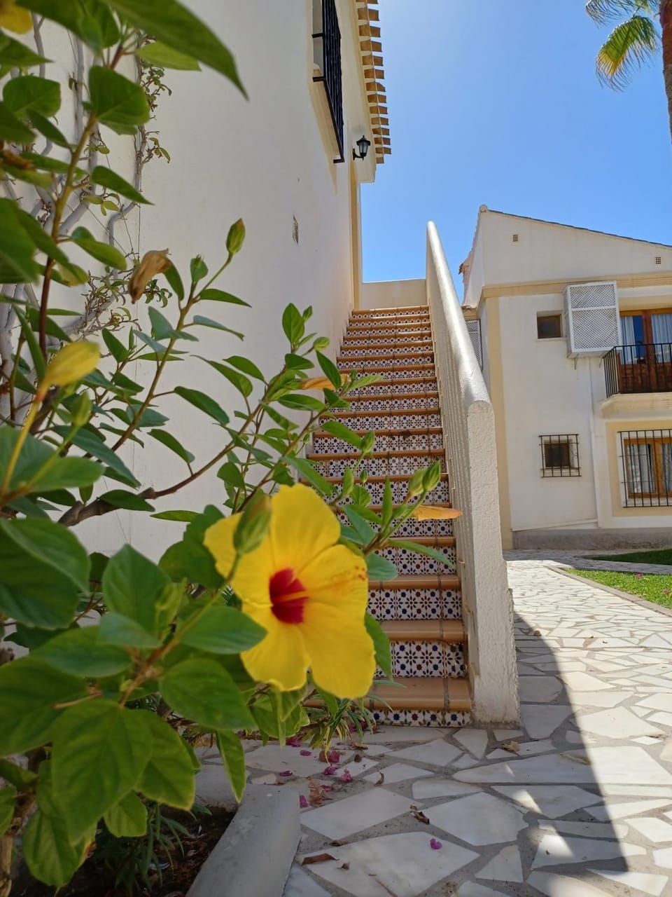 Property building, Garden