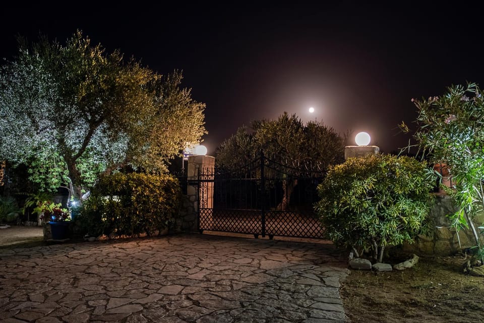 Night, Garden, Garden view