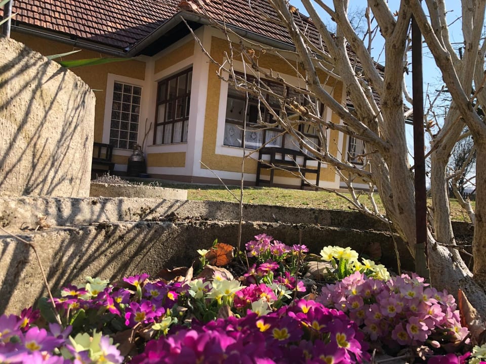 Foidlhaus House in Styria