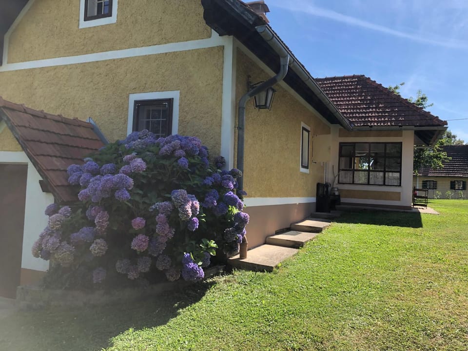 Foidlhaus House in Styria