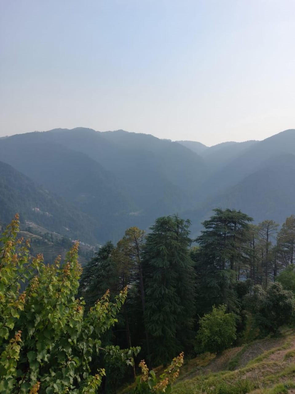 View (from property/room)