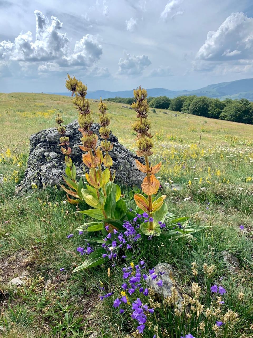 Natural landscape, Hiking