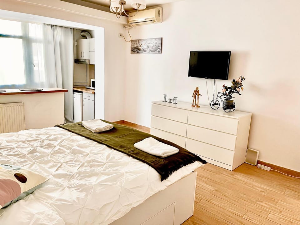 Victoriei studio Apartment in Bucharest