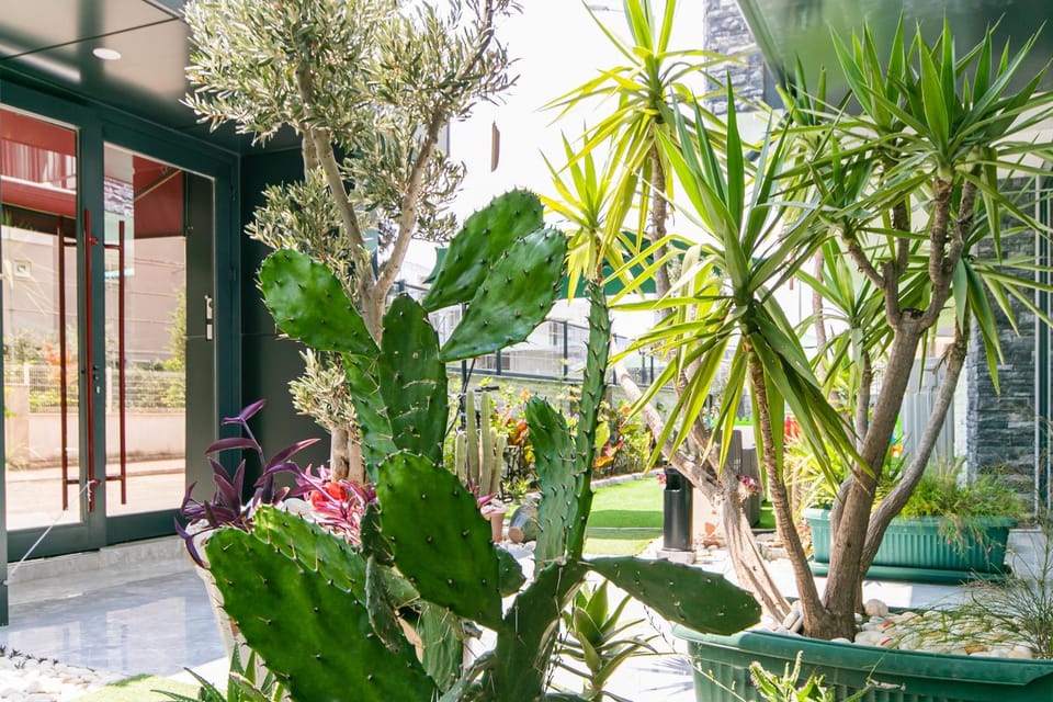 Patio, Facade/entrance, Garden, Balcony/Terrace