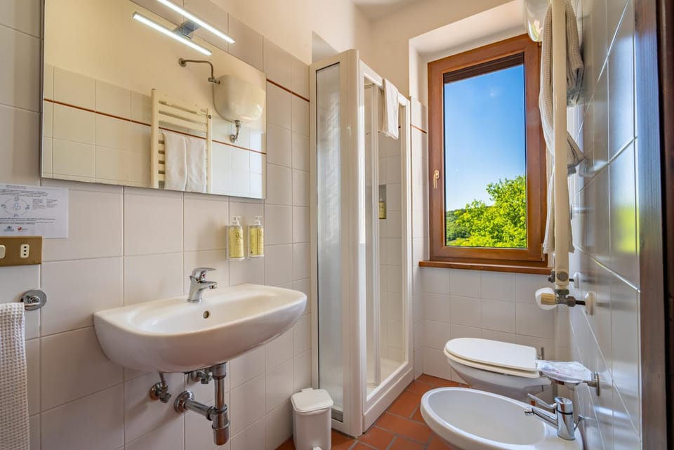 Shower, Toilet, Bathroom, towels