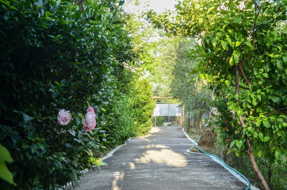 Facade/entrance, Garden