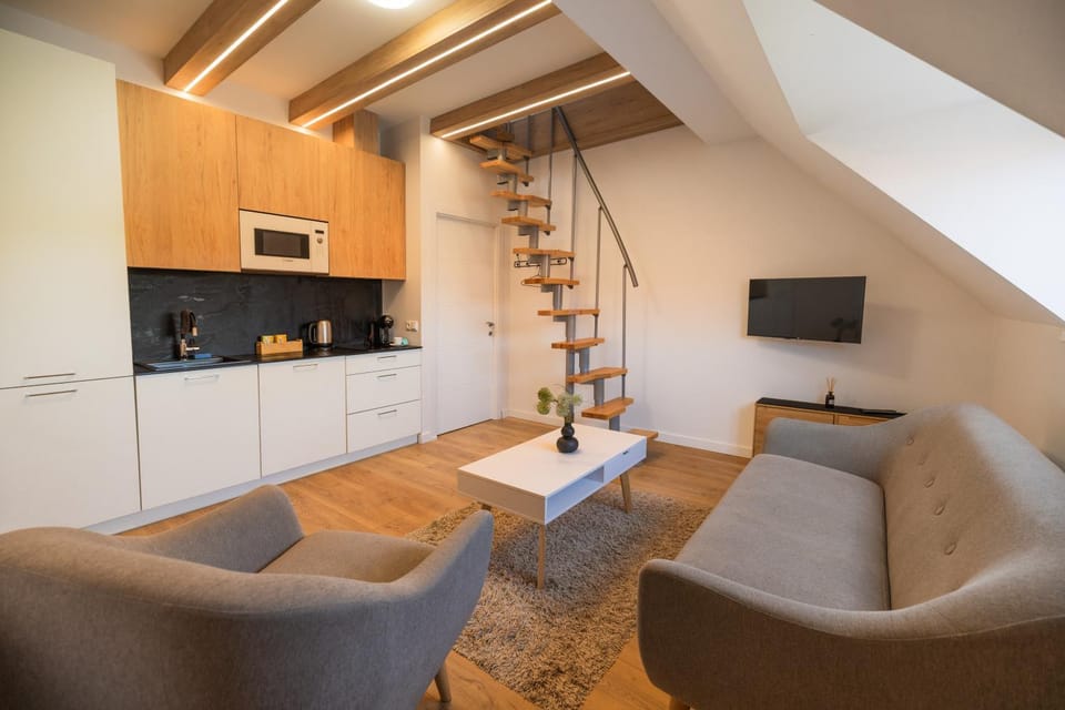 Cosy Studio in the City center with Air conditioneer! Apartment in Klaipėda
