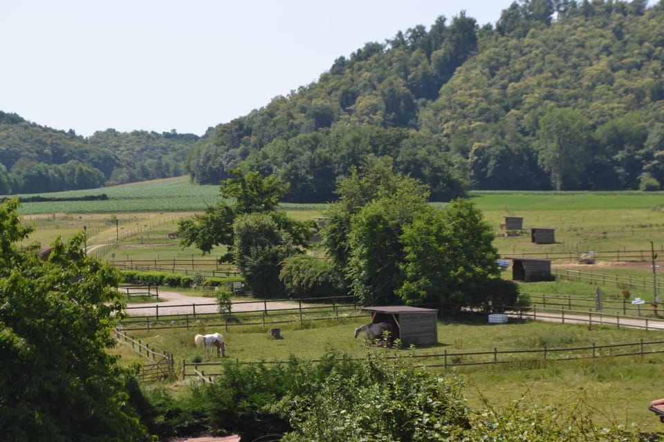 Natural landscape, View (from property/room), Landmark view