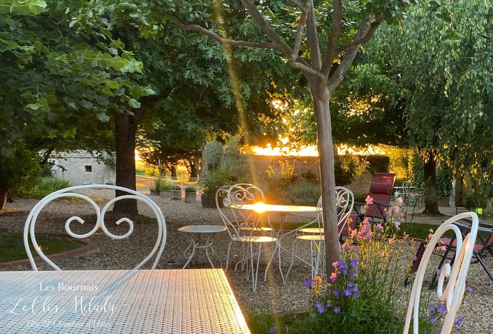 Natural landscape, Garden, Garden view