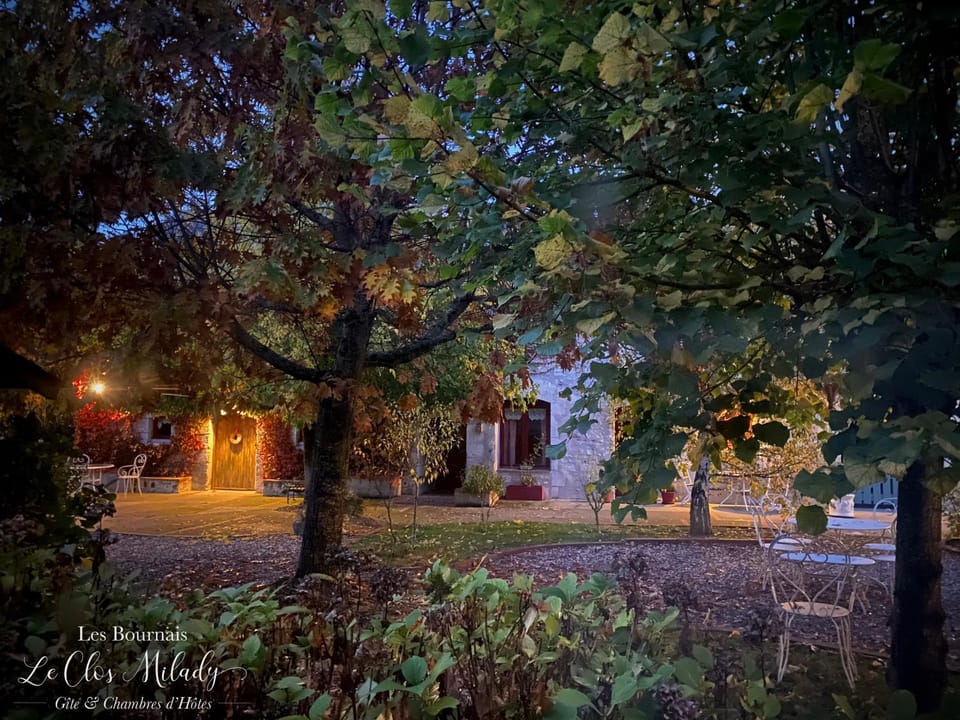 Night, Natural landscape, Garden, Garden view
