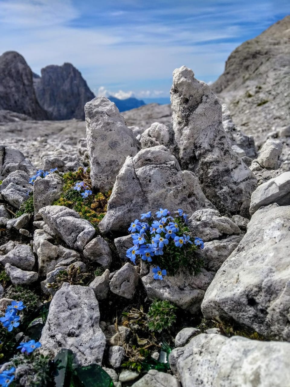 Natural landscape