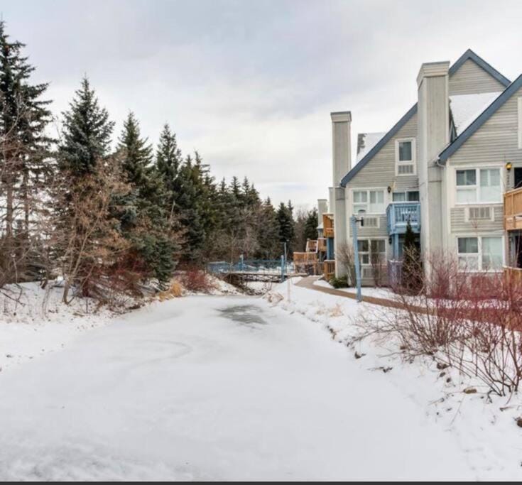Freshly Upgraded Cozy Loft @ North Creek Resort House in Grey Highlands