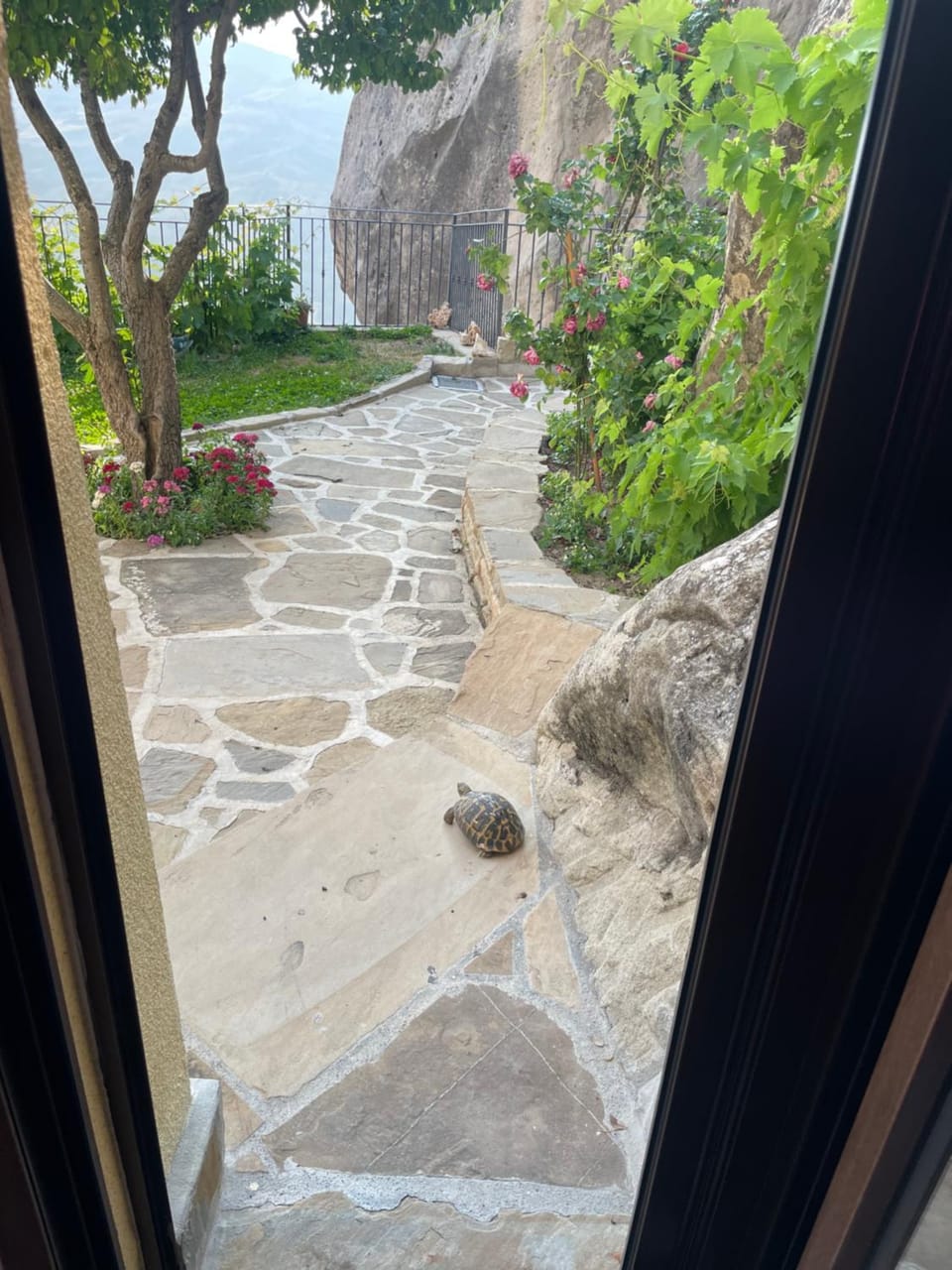 Garden, Animals