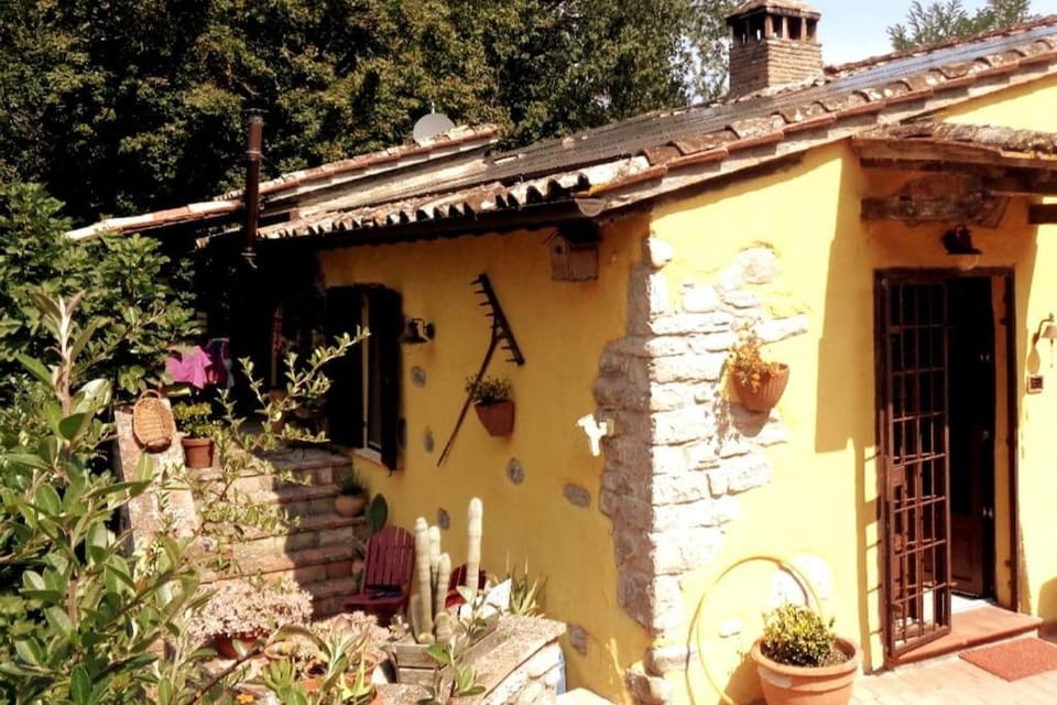 Property building, Patio