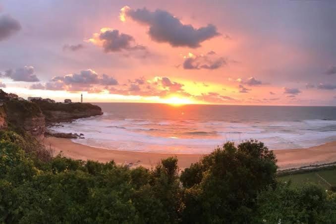 Superbe appartement climatisé entre mer et montagne Apartment in Anglet