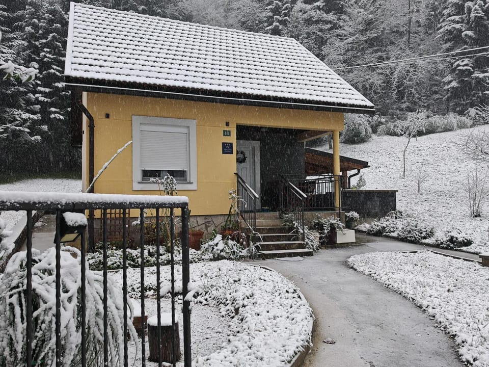Winter
