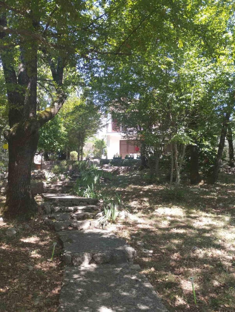 Apartman Kora Apartment in Primorje-Gorski Kotar County