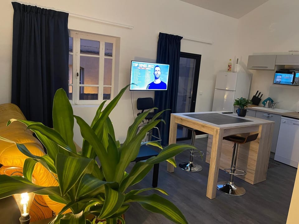 La roue des teinturiers Apartment in Avignon