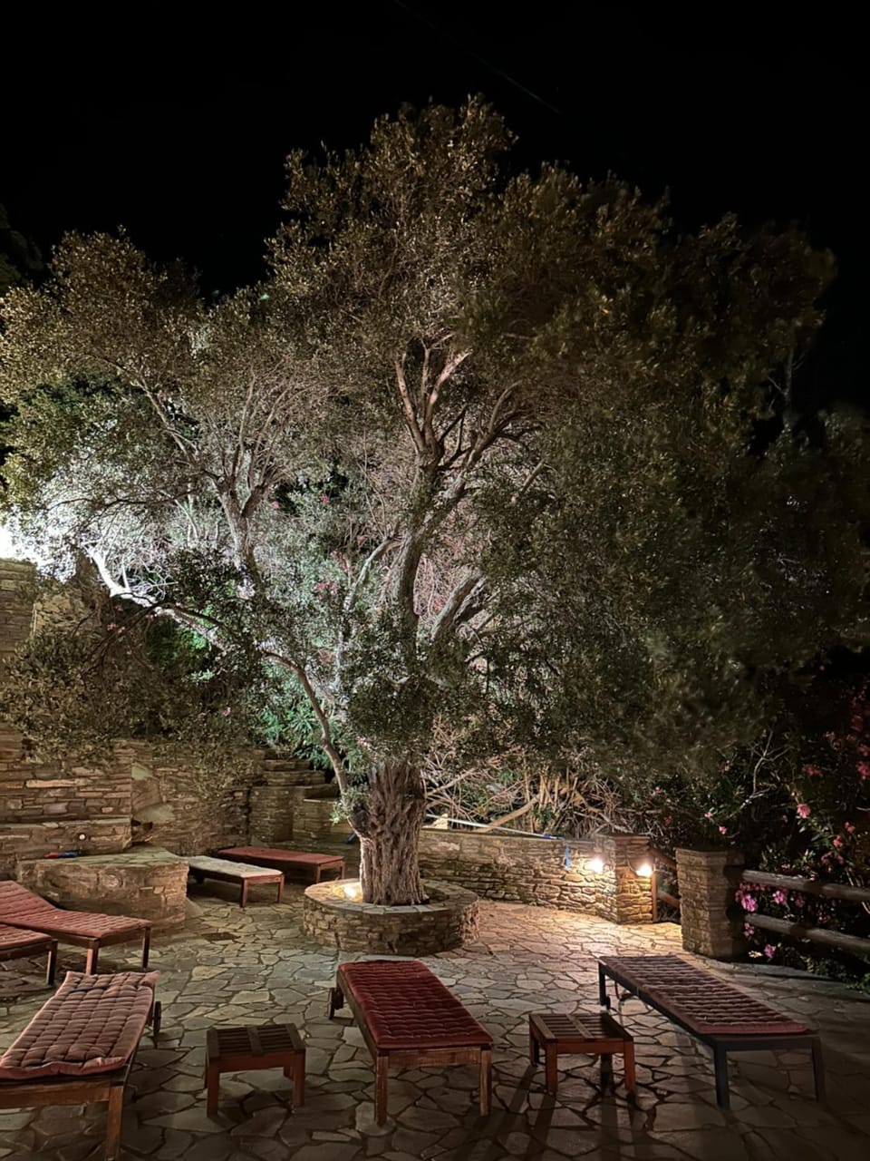 Andros Escape Condos House in Decentralized Administration of the Aegean