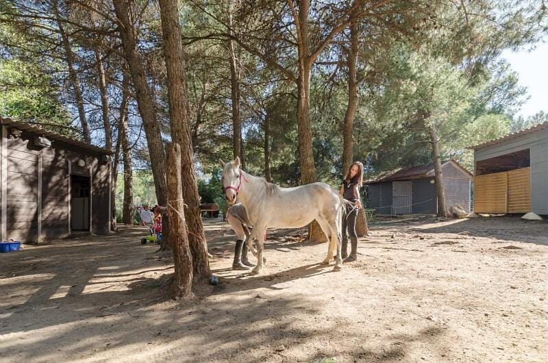 Horse-riding