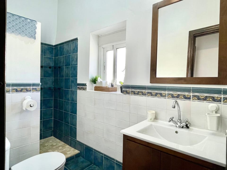 Shower, Toilet, towels
