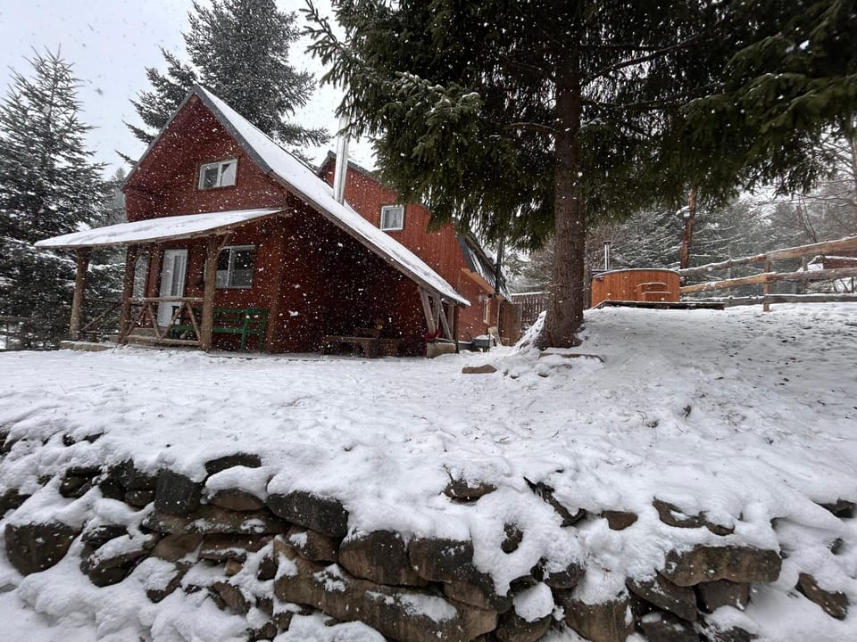 Property building, Natural landscape, Winter