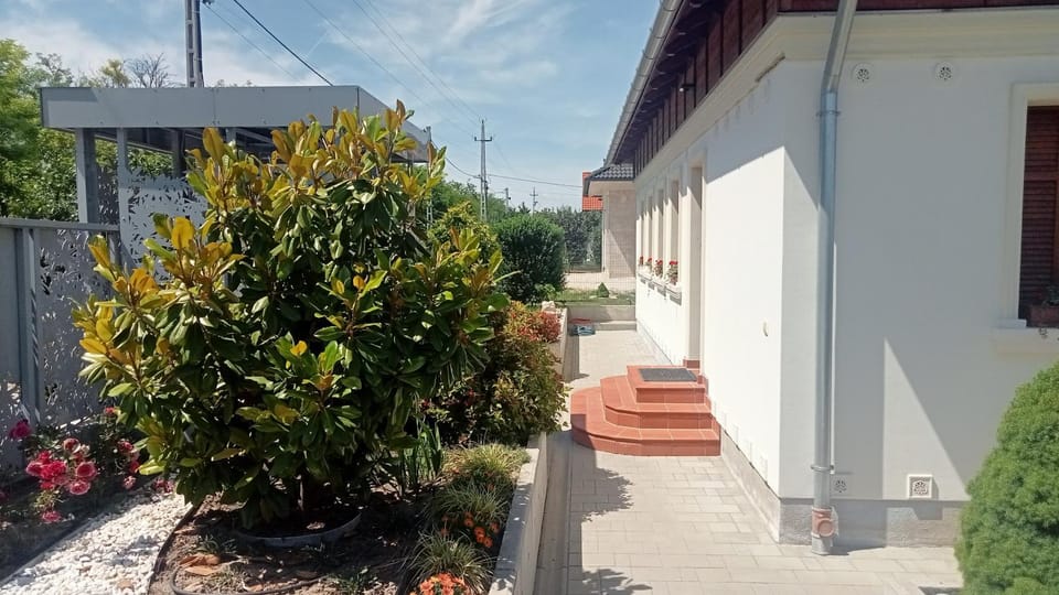 Property building, Garden, Garden view