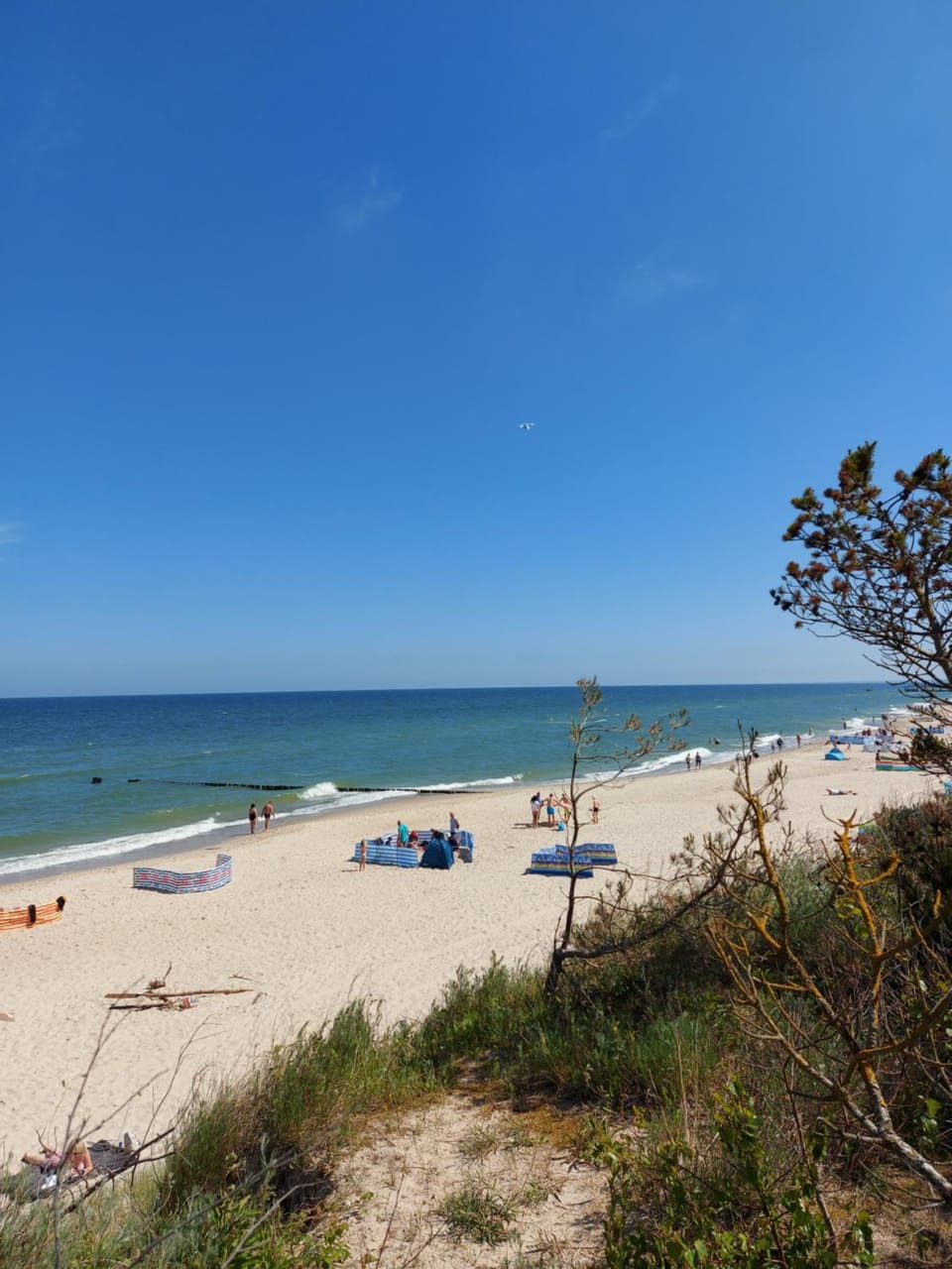 APARTAMENT SARBINOWO Z OGRÓDKIEM Apartment in West Pomeranian Voivodeship, Poland