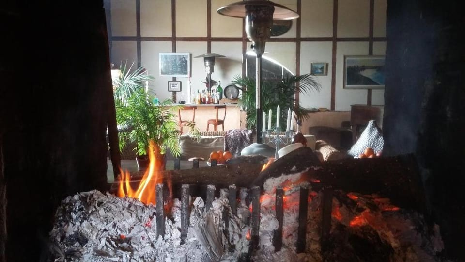 Lounge or bar, fireplace