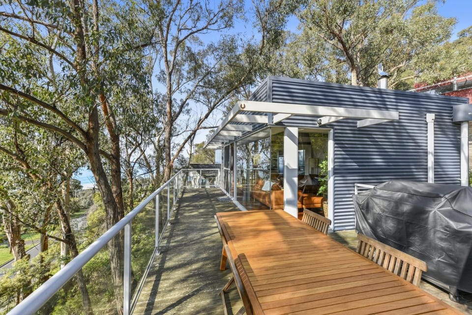 Bluegums at Lorne House in Lorne