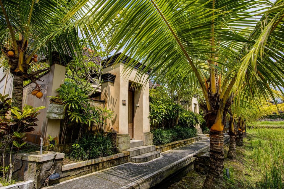 Day, Natural landscape