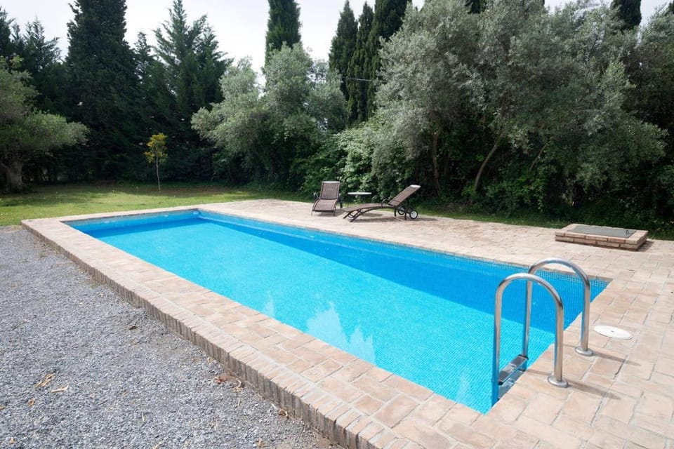 Garden, Swimming pool, Swimming pool