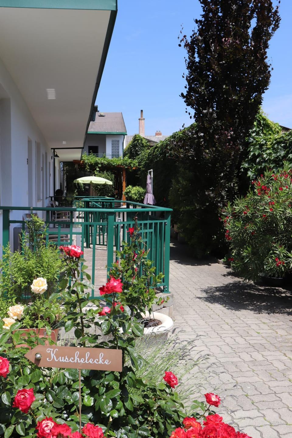 Patio, Garden