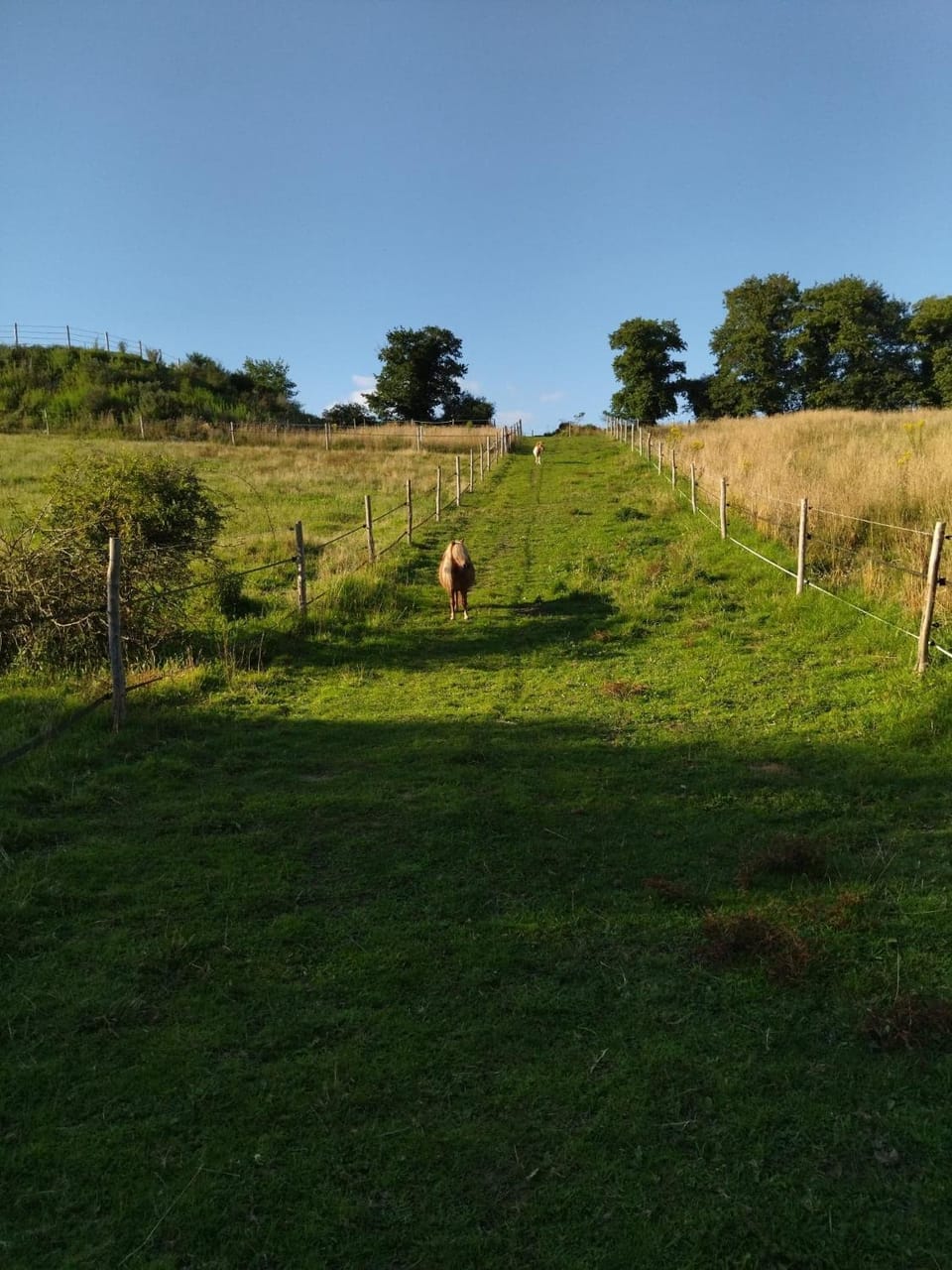 Natural landscape, Garden