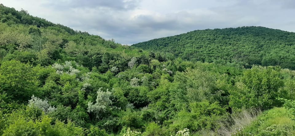 Natural landscape