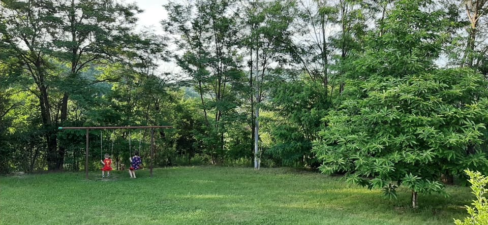 Children play ground, Garden