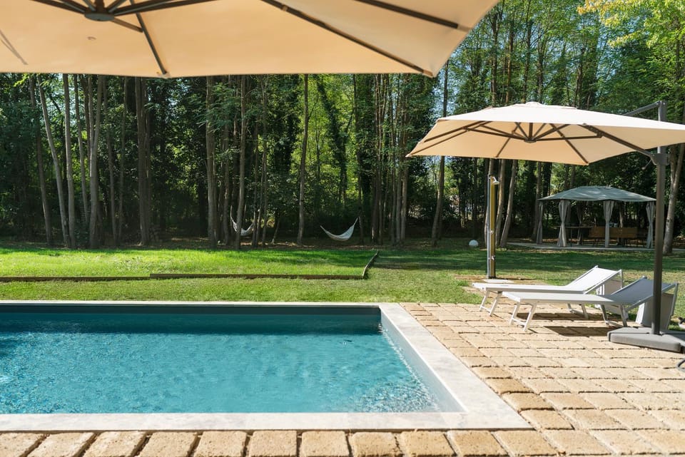 Spring, Day, Natural landscape, Summer, Garden, Garden view, Pool view, Swimming pool, sunbed