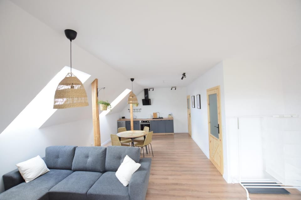 Johnny House 2 Apartment in Lithuania