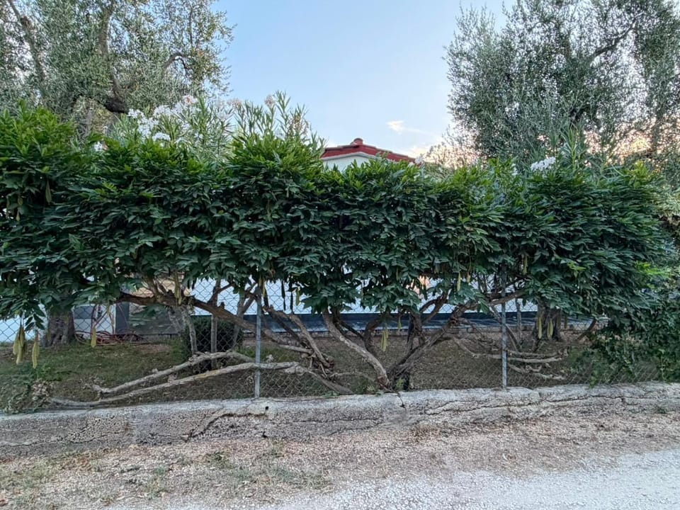 Domus Vestae House in Province of Foggia