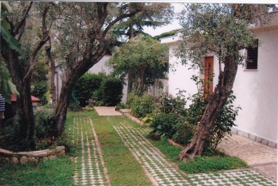 Facade/entrance, Garden