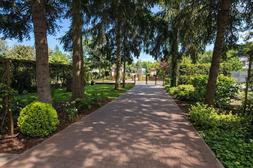 Natural landscape, Garden, Parking