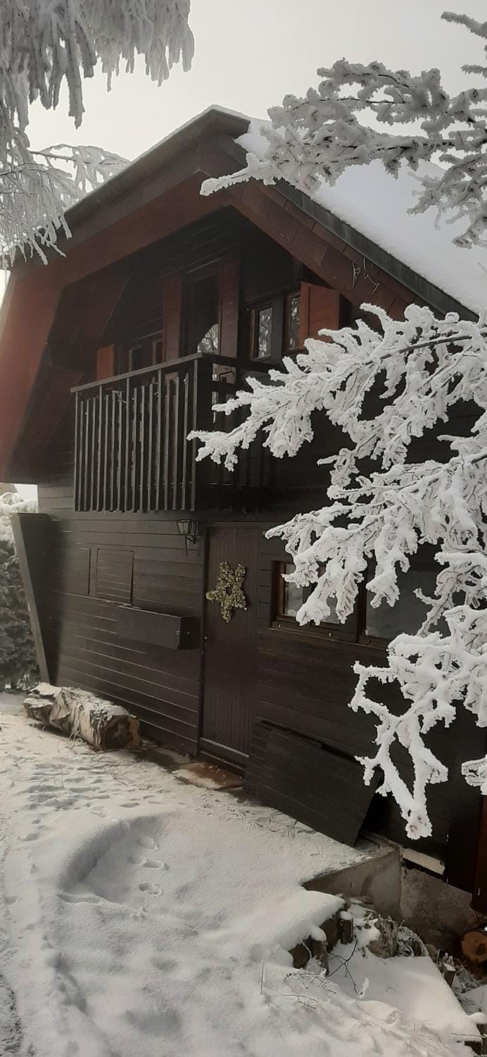 Property building, Day, Winter