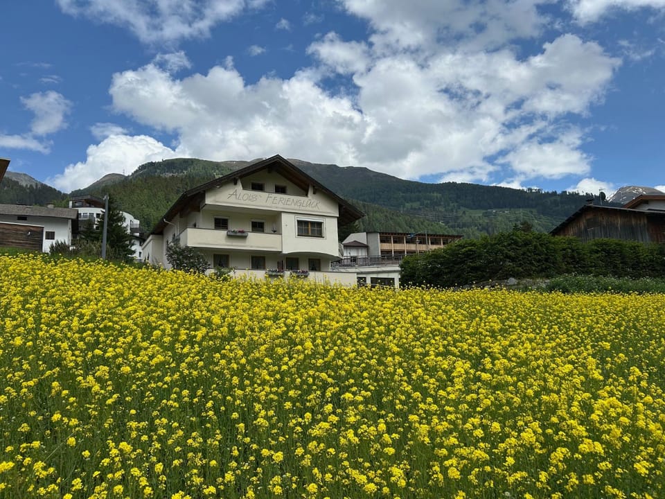 Property building, Spring