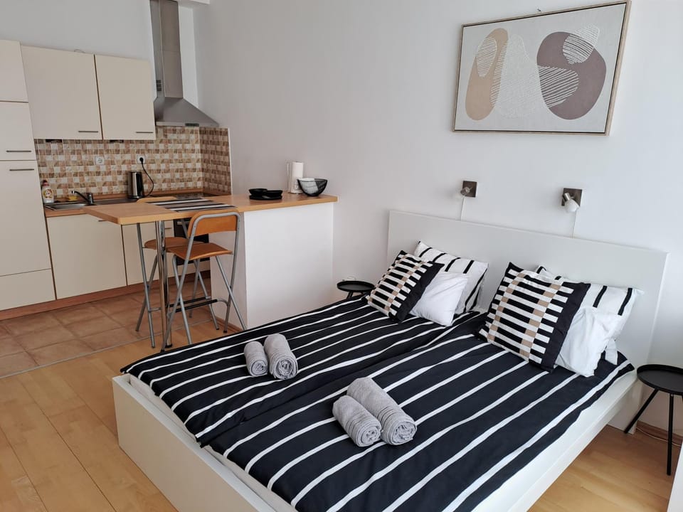 Central Belvedere Apartman Apartment in Budapest