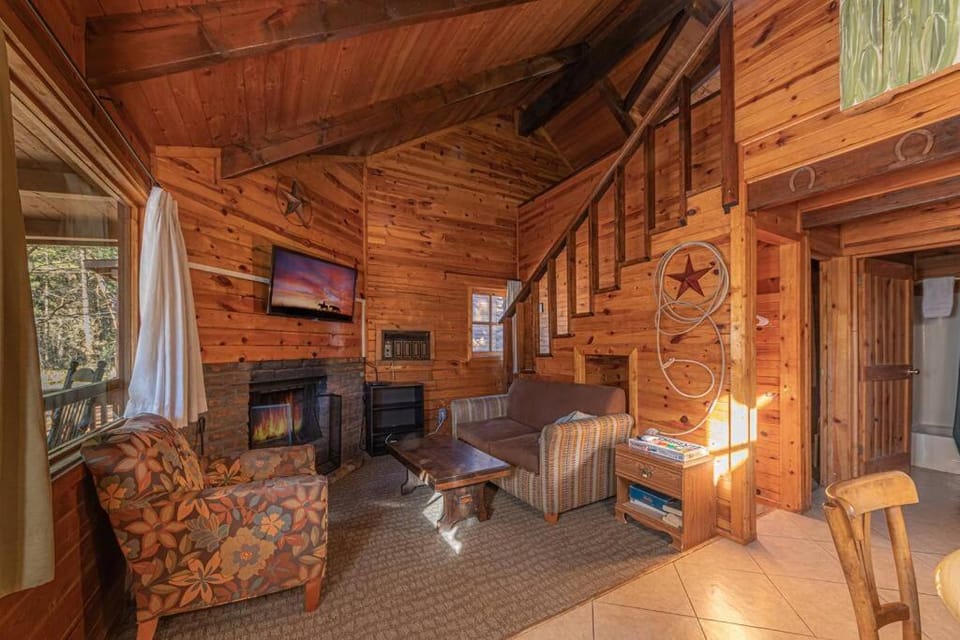 Forest Cabin 4 Cowboys Dream Cabin in Gila County
